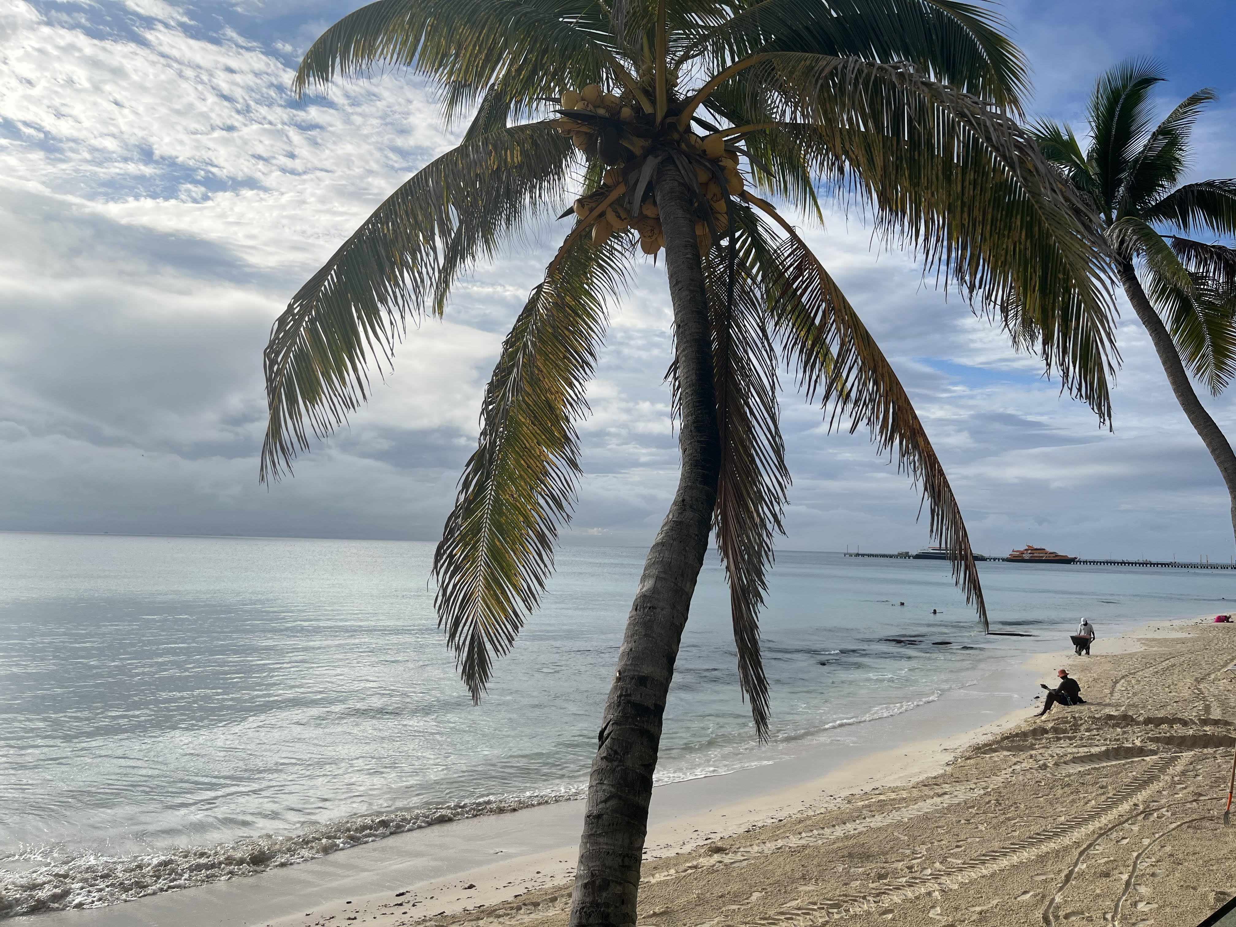 Playa del Carmen Travel Guide: Things to Do & Day Trips